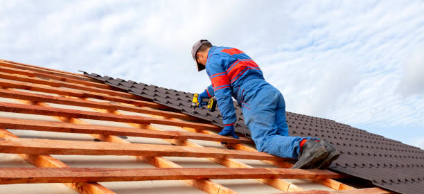 Best Roof Coating and Sealing  in Dixon, IL
