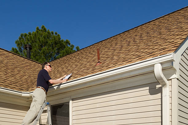 Best Roof Moss and Algae Removal  in Dixon, IL
