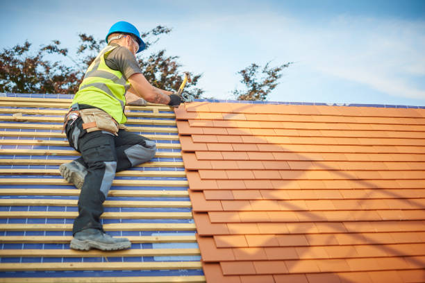 Best Roof Insulation Installation  in Dixon, IL